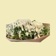 ヒメ日記 2026/01/03 21:53 投稿 りこ 東京エステコレクション 新橋・銀座