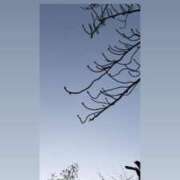 ヒメ日記 2026/01/17 19:45 投稿 りこ 東京エステコレクション 新橋・銀座