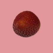 ヒメ日記 2026/03/09 20:13 投稿 りこ 東京エステコレクション 新橋・銀座