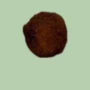 ヒメ日記 2026/03/26 21:02 投稿 りこ 東京エステコレクション 新橋・銀座