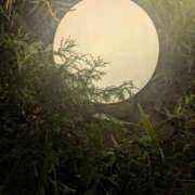 ヒメ日記 2025/06/20 22:48 投稿 せいら 川崎・東横人妻城