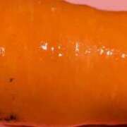 ヒメ日記 2025/07/01 23:03 投稿 せいら 川崎・東横人妻城