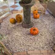 せいら [お題]from:シャボンさん 川崎・東横人妻城