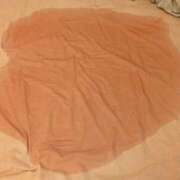 せいら こんばんは早い 川崎・東横人妻城