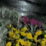 ヒメ日記 2026/03/26 21:34 投稿 せいら 川崎・東横人妻城