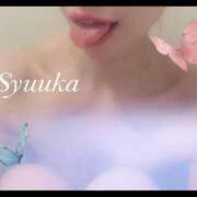 ヒメ日記 2025/05/13 12:16 投稿 しゅうか 変態なんでも鑑定団