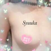 ヒメ日記 2025/07/13 00:26 投稿 しゅうか 変態なんでも鑑定団