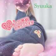 ヒメ日記 2025/12/14 20:16 投稿 しゅうか 変態なんでも鑑定団