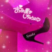 しゅうか 今夜一緒に過ごそ？❤️ 変態なんでも鑑定団