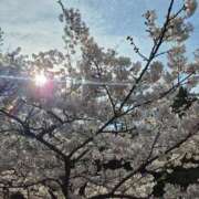 ヒメ日記 2025/05/04 01:28 投稿 秋月　かえで PLATINA R-30（すすきの）