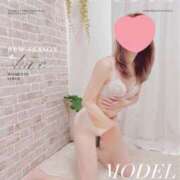 新澤 しずか 12/24(水)　シャルム1 K様へ こあくまな熟女たち 鶯谷・日暮里店(KOAKUMAグループ)