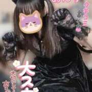 ヒメ日記 2025/02/22 03:47 投稿 あんず ママ友倶楽部