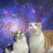 ヒメ日記 2025/09/18 10:08 投稿 阿部 西川口デッドボール