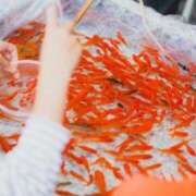 ヒメ日記 2025/09/20 09:28 投稿 阿部 西川口デッドボール