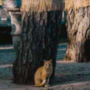 ヒメ日記 2025/10/13 13:18 投稿 阿部 西川口デッドボール