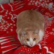 ヒメ日記 2025/10/19 16:18 投稿 阿部 西川口デッドボール