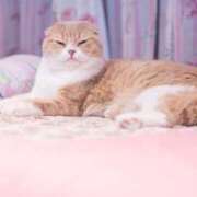 ヒメ日記 2025/11/15 09:54 投稿 阿部 西川口デッドボール