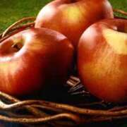 ヒメ日記 2025/11/24 09:28 投稿 阿部 西川口デッドボール