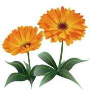 ヒメ日記 2025/11/30 17:18 投稿 阿部 西川口デッドボール