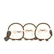 ヒメ日記 2025/12/30 17:19 投稿 阿部 西川口デッドボール