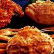 ヒメ日記 2026/01/04 14:18 投稿 阿部 西川口デッドボール