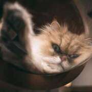 ヒメ日記 2026/01/10 15:18 投稿 阿部 西川口デッドボール