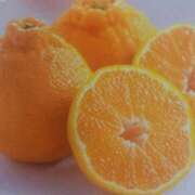 ヒメ日記 2026/01/19 12:29 投稿 阿部 西川口デッドボール