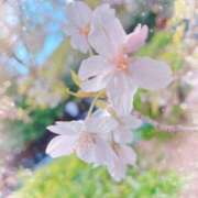 ヒメ日記 2025/04/12 15:18 投稿 あゆ 那須塩原人妻花壇