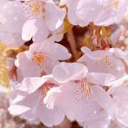 ヒメ日記 2025/04/25 18:03 投稿 あゆ 那須塩原人妻花壇