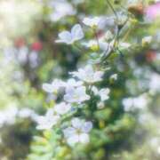 ヒメ日記 2025/04/26 12:06 投稿 あゆ 那須塩原人妻花壇