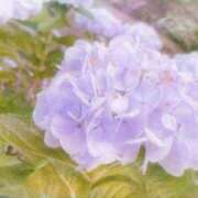 ヒメ日記 2025/05/04 01:06 投稿 あゆ 那須塩原人妻花壇