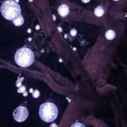 ヒメ日記 2024/12/13 16:00 投稿 高島祐希 TSUBAKI（水戸）