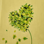 ヒメ日記 2025/02/03 01:46 投稿 高島祐希 TSUBAKI（水戸）