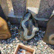 ヒメ日記 2025/05/18 23:19 投稿 高島祐希 TSUBAKI（水戸）