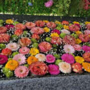 ヒメ日記 2025/07/12 18:21 投稿 高島祐希 TSUBAKI（水戸）