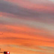 ヒメ日記 2025/07/23 22:54 投稿 高島祐希 TSUBAKI（水戸）