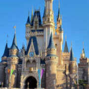 ヒメ日記 2025/07/25 11:08 投稿 高島祐希 TSUBAKI（水戸）