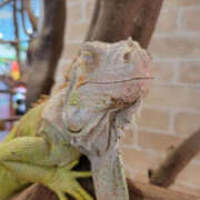 ヒメ日記 2025/09/05 22:06 投稿 高島祐希 TSUBAKI（水戸）