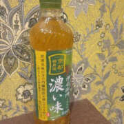 高島祐希 22日お礼 TSUBAKI（水戸）