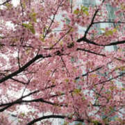 高島祐希 14日 TSUBAKI（水戸）