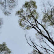 ヒメ日記 2026/04/13 19:55 投稿 高島祐希 TSUBAKI（水戸）