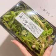 ヒメ日記 2025/01/08 00:26 投稿 ゆきほ 京都の痴女鉄道