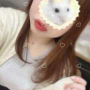 ヒメ日記 2025/04/12 10:46 投稿 ゆきほ 京都の痴女鉄道