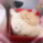 ヒメ日記 2025/04/29 11:16 投稿 ゆきほ 京都の痴女鉄道