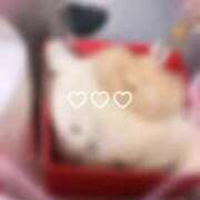 ヒメ日記 2025/09/25 15:06 投稿 ゆきほ 京都の痴女鉄道