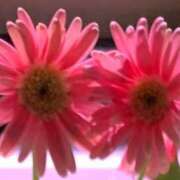 ヒメ日記 2025/01/18 12:48 投稿 けい 待ちナビ