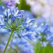 ヒメ日記 2025/01/18 23:05 投稿 けい 待ちナビ