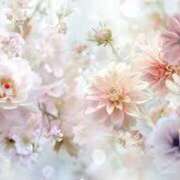 ヒメ日記 2025/03/20 16:59 投稿 けい 待ちナビ