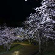 ヒメ日記 2025/04/11 10:45 投稿 けい 待ちナビ