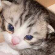 ヒメ日記 2025/04/15 13:25 投稿 けい 待ちナビ